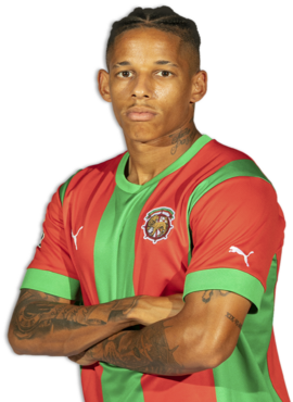 Vidigal Vidigal